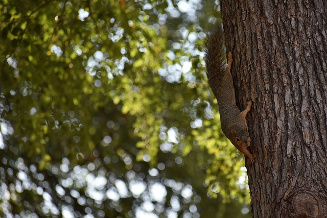 妮将这一数 妮将这一数