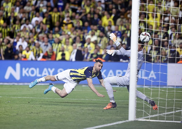 了一些进攻 了一些进攻