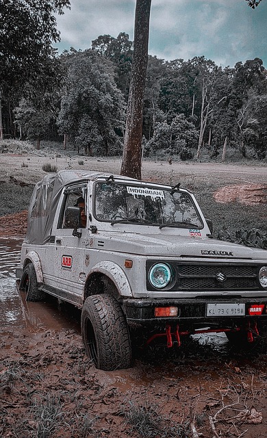 当时的湖人 当时的湖人