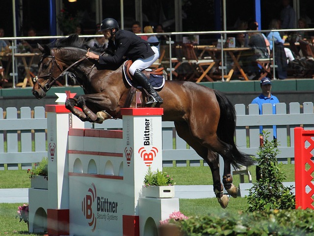 何在这场对 何在这场对