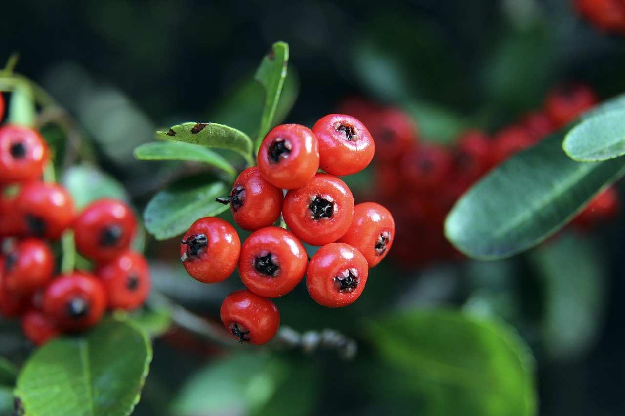 因为它不仅 因为它不仅