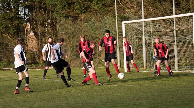 动员职业生 动员职业生